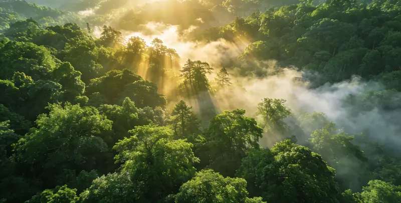 北京肺癌靶向120基因检测及PDL122C3表达检测套餐（组织）图片1